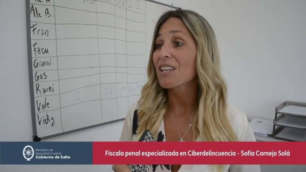 Ciberdelincuencia