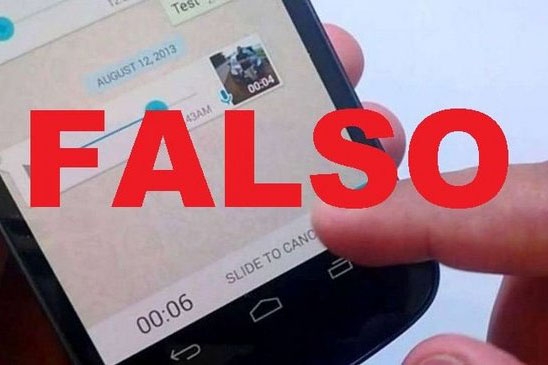 La elaboración o difusión de información falsa es delito penal