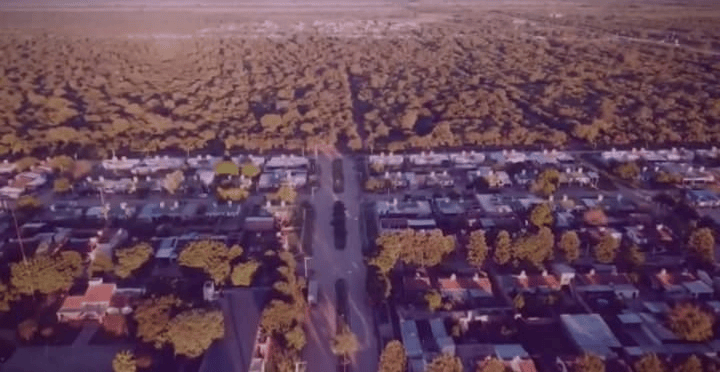Iniciaron los trabajos de ampliación sobre avenida Rivadavia