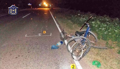 Motociclista muerto en la ruta N°5 cerca de Las Lajitas
