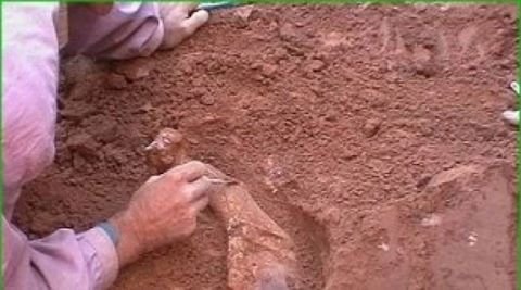 Encontraron restos óseos en Las Lajitas