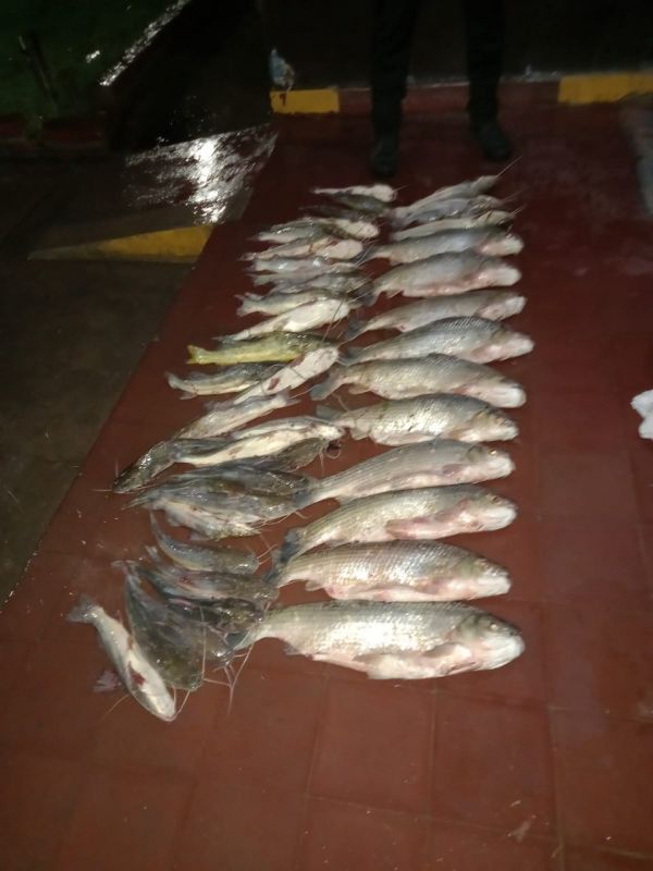 Infraccionan a cuatro pescadores en el Galpón