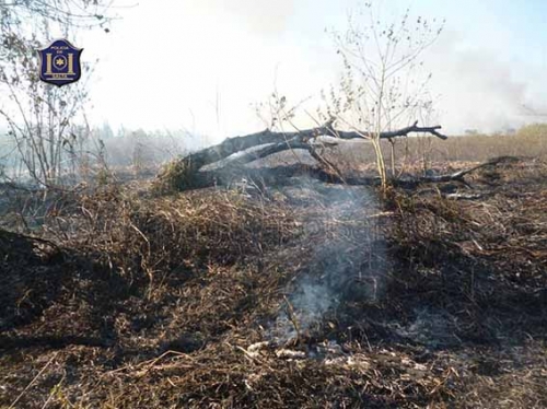 En El Galpón, una quema de pastizales provocó un incendio