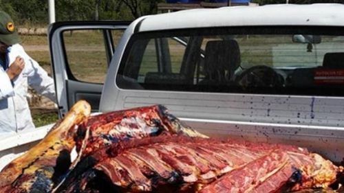 En abril decomisaron 1.750 kilos de carne faenada y en mal estado para la venta