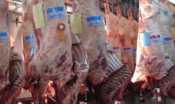 Argentina vuelve a exportar carne bovina a Estados Unidos, luego de 17 años