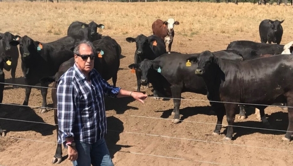 Acción de Amparo Ambiental contra el municipio de Joaquín V. González