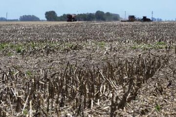 Para 2024 proyectan que la economía argentina caerá 2%