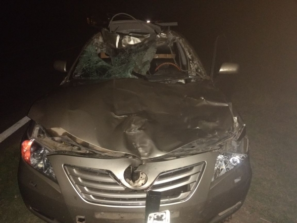 Empresario gonzaleño accidentado