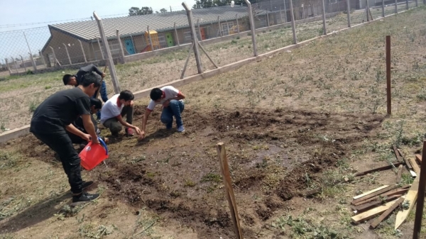 Creación de una Huerta Orgánica con Fines Solidarios