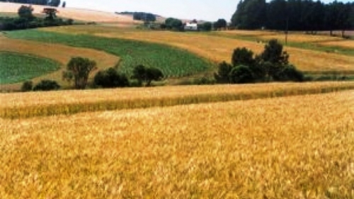 Córdoba: primer juicio por contaminación con agroquímicos
