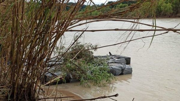 Secuestro millonario de hojas de coca en Salta