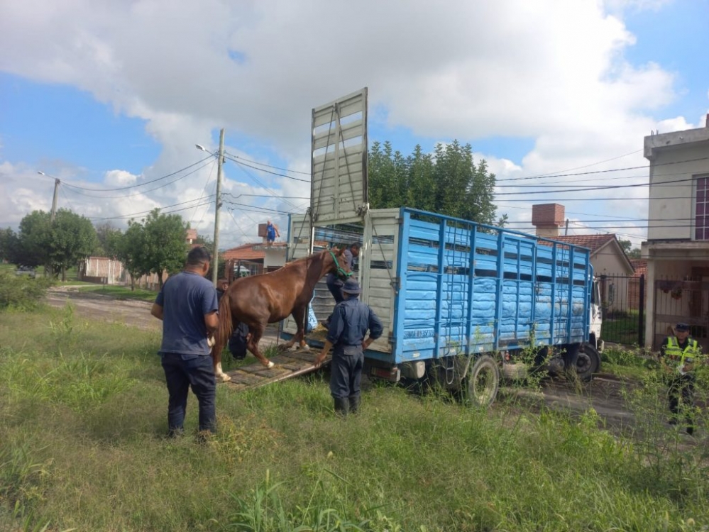 Operativos Preventivos de la Policía salteña