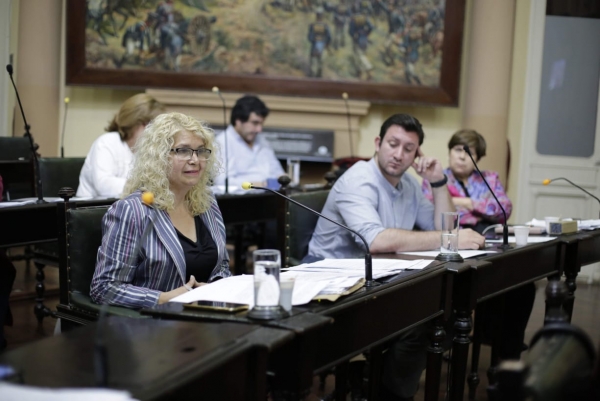 APROBARON EL PROYECTO DE LEY DE OBLIGATORIEDAD DEL SERVICIO PROFESIONAL DE GUARDAVIDAS