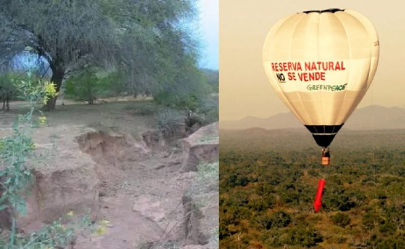 GRAL. PIZARRO: Desmontes y ventas confidenciales de una Reserva Natural salteña