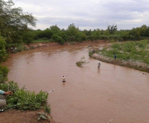 Denuncian depredación descontrolada en el río Medina