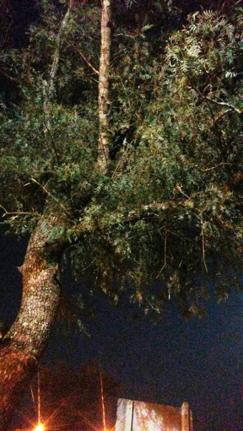 Asombrosa aparición de la Virgen de Huachana
