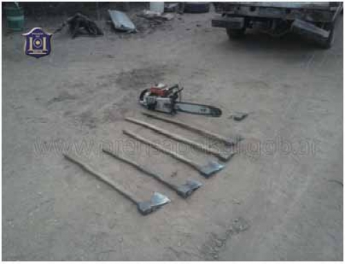 Exitoso operativo forestal