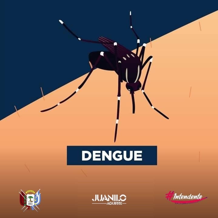 Todos contra el Dengue