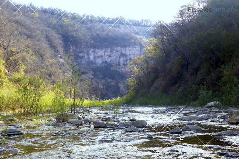 Daños a la Reserva Nacional de General Pizarro