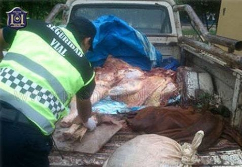 Secuestro de carne vacuna en Apolinario Saravia