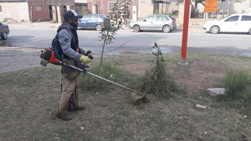 Tareas de limpieza y desmalezamiento