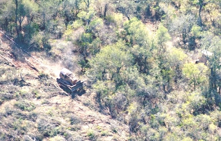 Aumentarán en Salta un 400 por ciento las multas para los desmontes ilegales