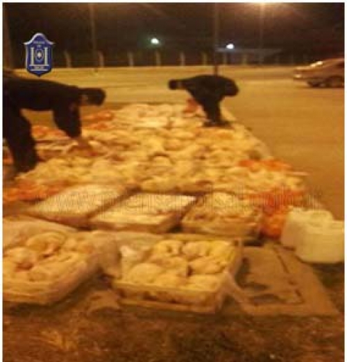 Secuestran más de 900 kg de productos cárnicos