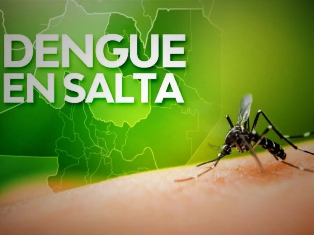 Confirmaron el cuarto caso de dengue