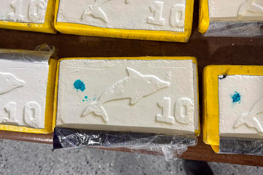 Introducían droga desde Bolivia para luego venderla en Buenos Aires