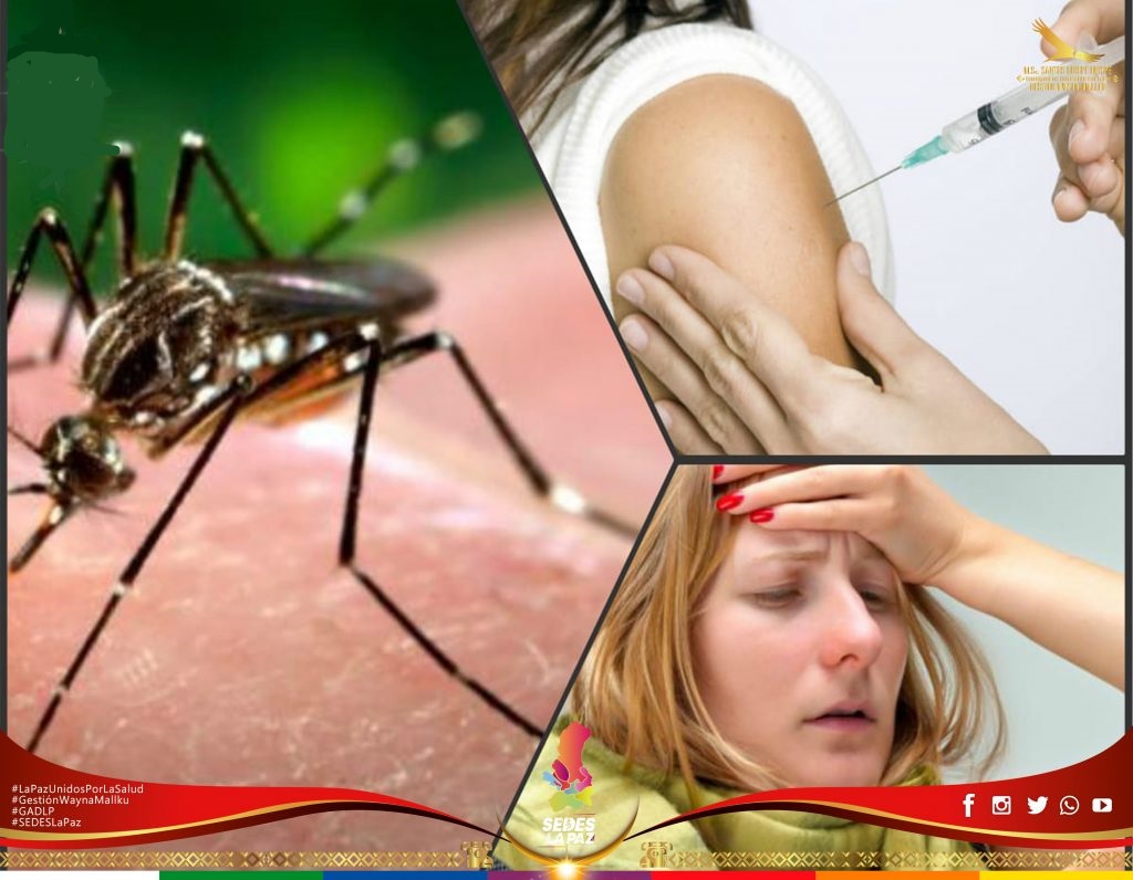 La vacunación contra la fiebre amarilla solo será gratuita en Anta