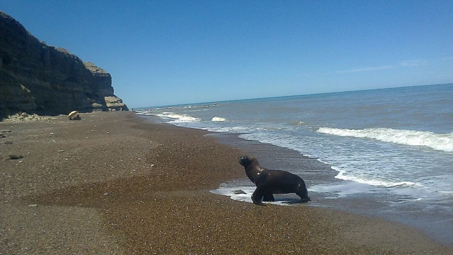 Viven 9 personas y tienen un mar solo para ellos
