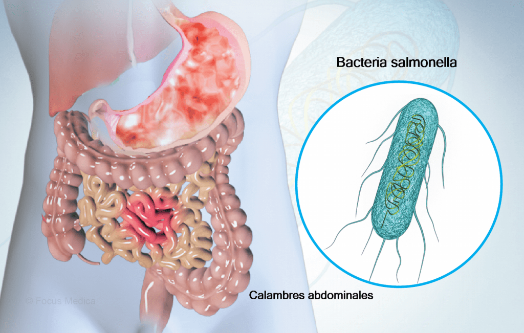 Los casos de salmonelosis disminuyeron un 94,7% en Salta