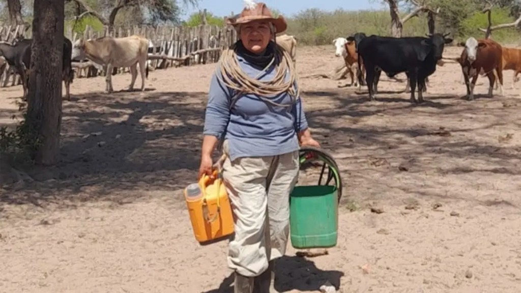 Juicio a los cuatreros que arrasaron en El Destierro