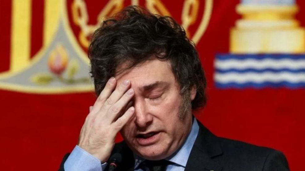 Preocupación en el gobierno de Milei por la baja participación