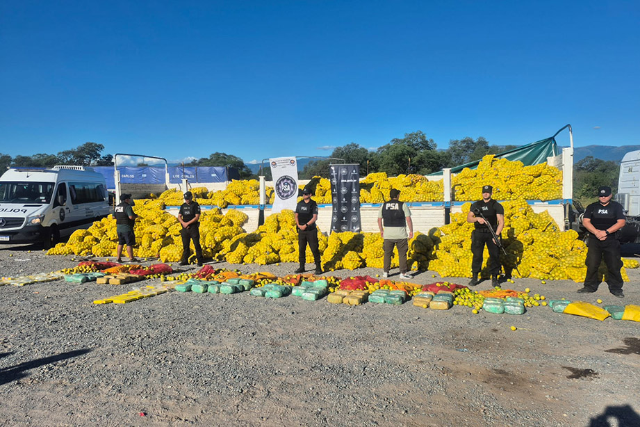 Prisión preventiva para seis acusados que enviaban drogas en camiones de fruta