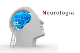 Atención en Neurología para adultos