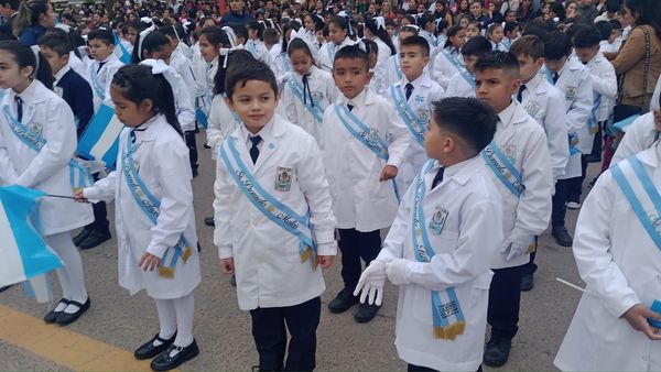 Promesa de lealtad a nuestra enseña patria