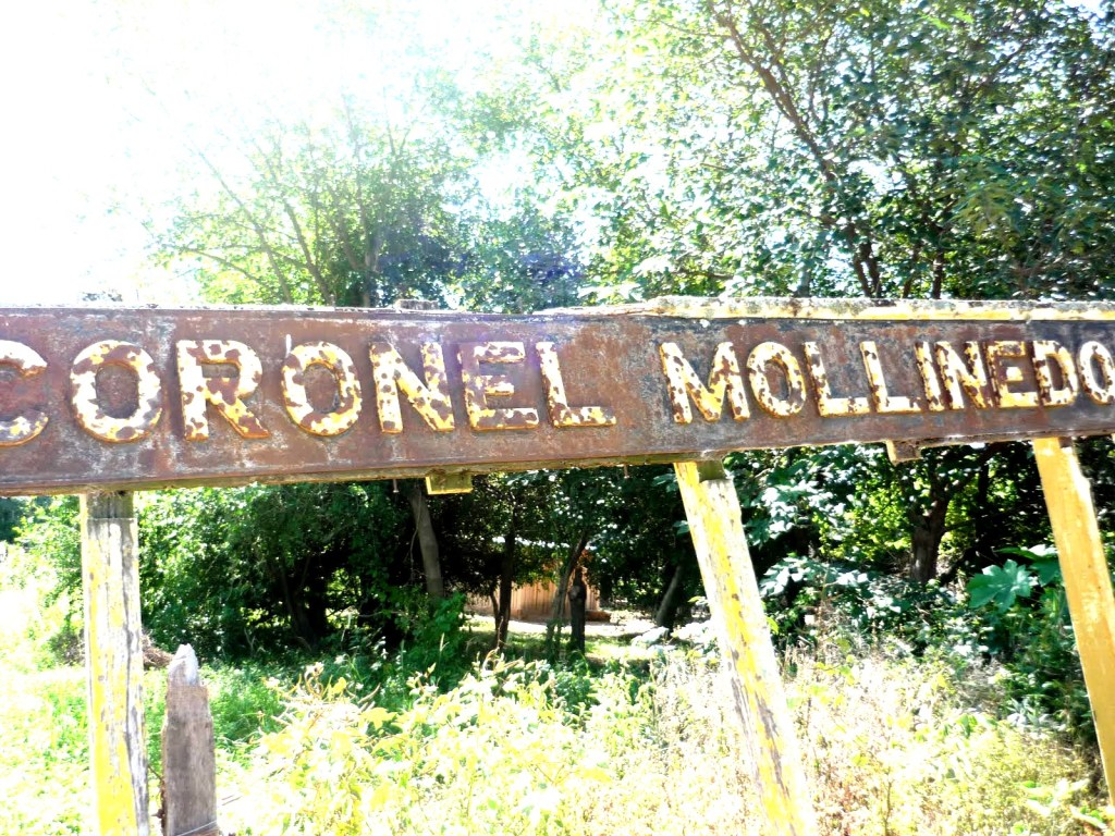 En vísperas de año nuevo un joven se suicido en Mollinedo