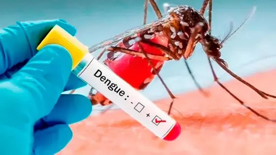 Salud Pública informó un caso de Dengue en la ciudad de Salta