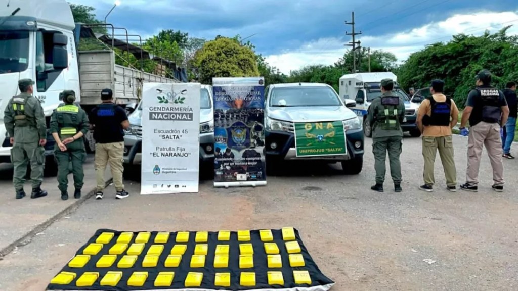 Más de 290 kilos de droga fueron decomisados por la Policía de Salta