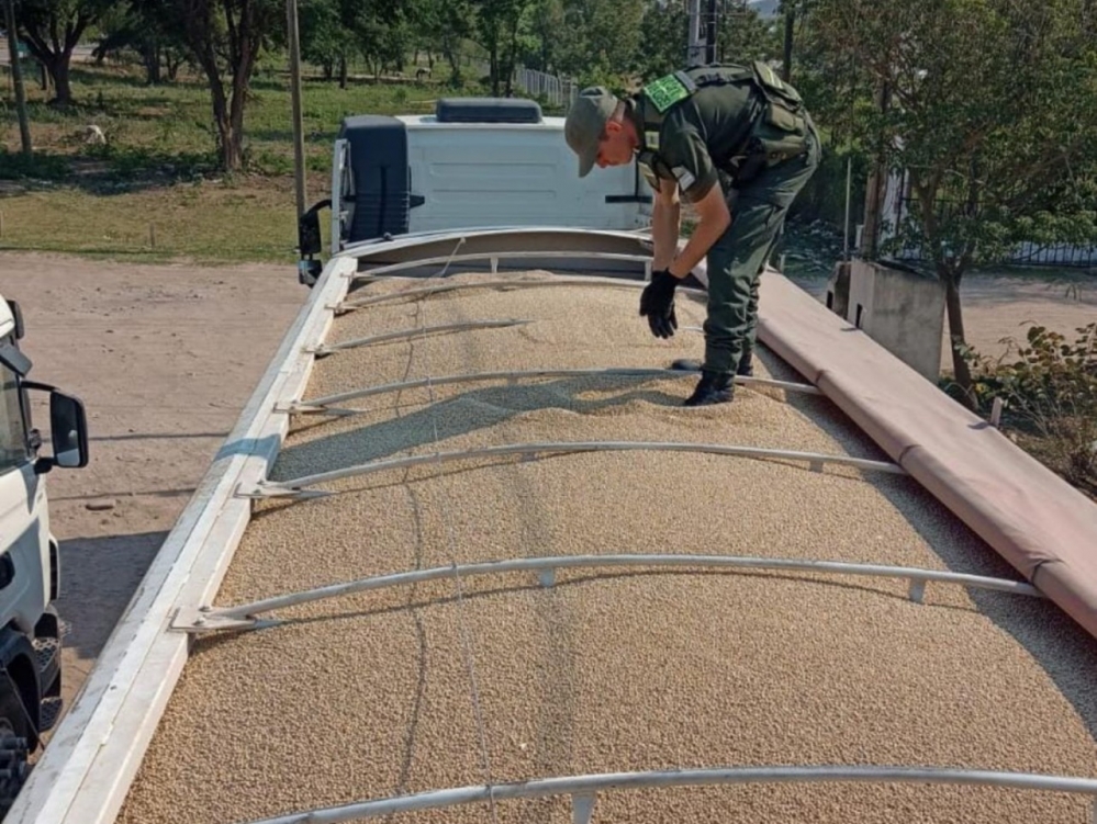 Incautan en Salta 223 toneladas de granos