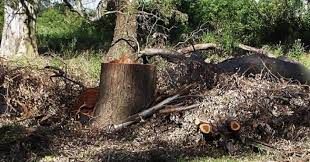 Solicitan la creación de una fiscalía federal ambiental en el norte de la provincia