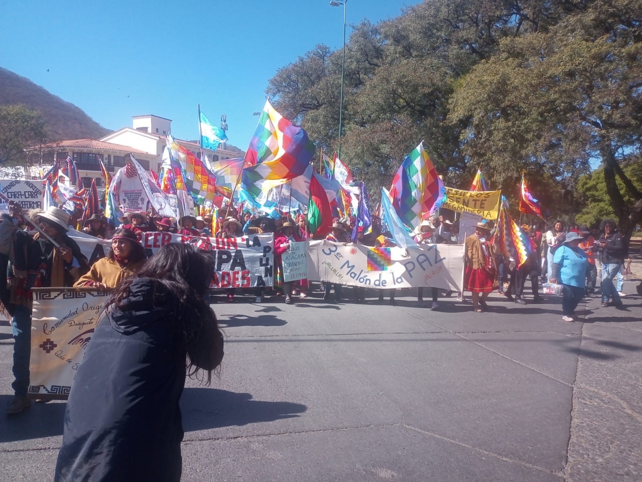 El Tercer Malón por la Paz llegó a Salta