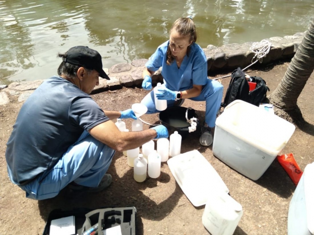 Se analizan muestras para determinar la mortandad de peces en el Parque San Martín