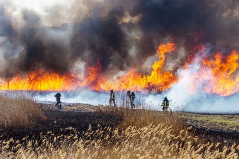 Salta es la provincia más afectada por los incendios forestales con siete “focos activos"