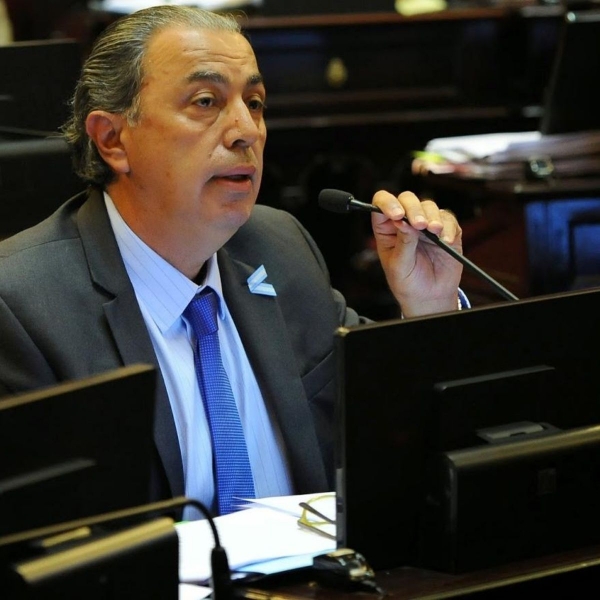 Aborto: Senadores analizan presentar un proyecto alternativo al enviado por Diputados