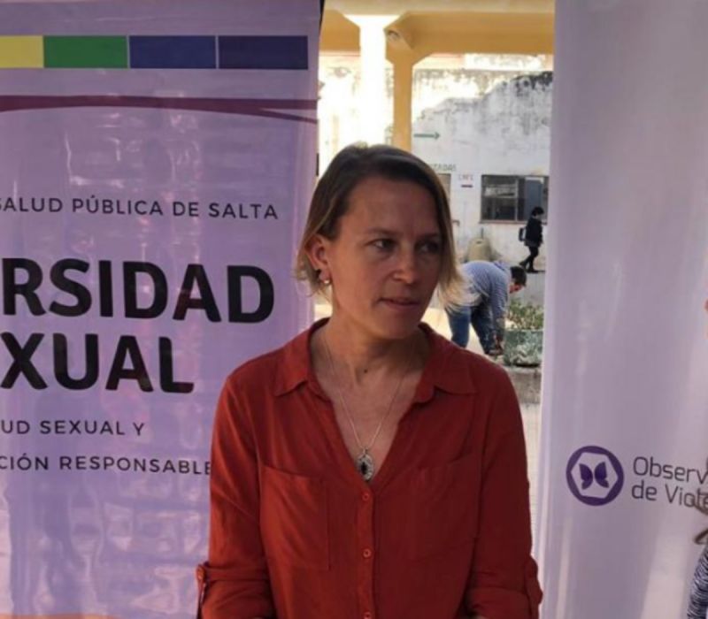 “En el área de educación, los manuales de la provincia de Salta reproducen violencia machista y eso nos parece muy grave”