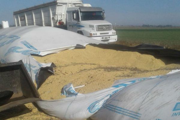 Preocupa el aumento de hechos delictivos en el campo