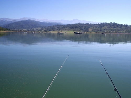 Advierten a la población no consumir peces extraídos del Dique Cabra Corral