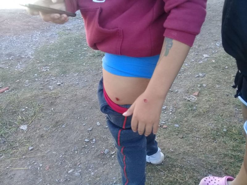 60 policías desalojaron violentamente a una familia y reprimieron a vecinos de Calixto Gaun